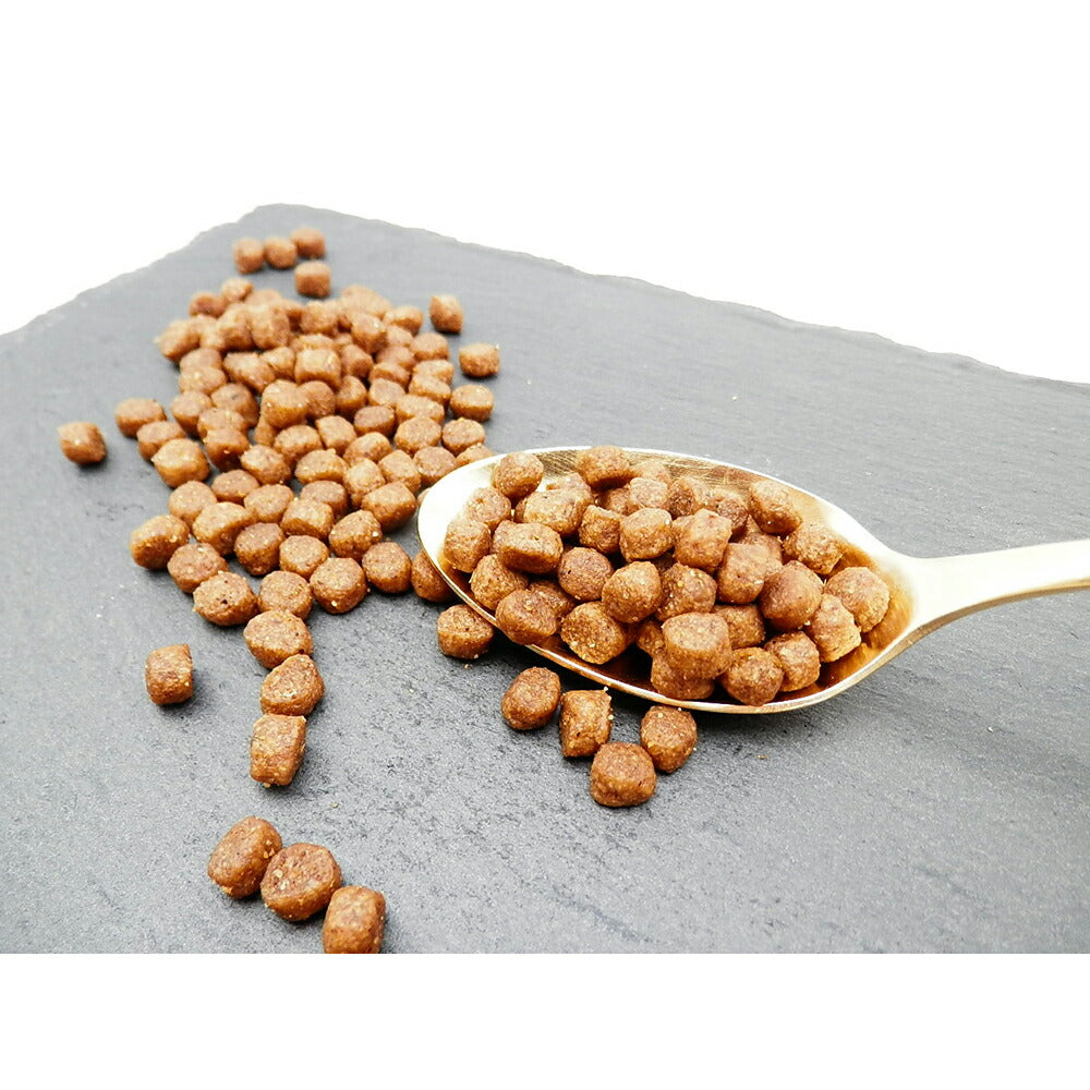 ホリスティックレセピー 仔犬・活動犬・妊娠・授乳犬 チキン＆ライス 6.4kg (犬・ドッグ) HolisticRECIPE