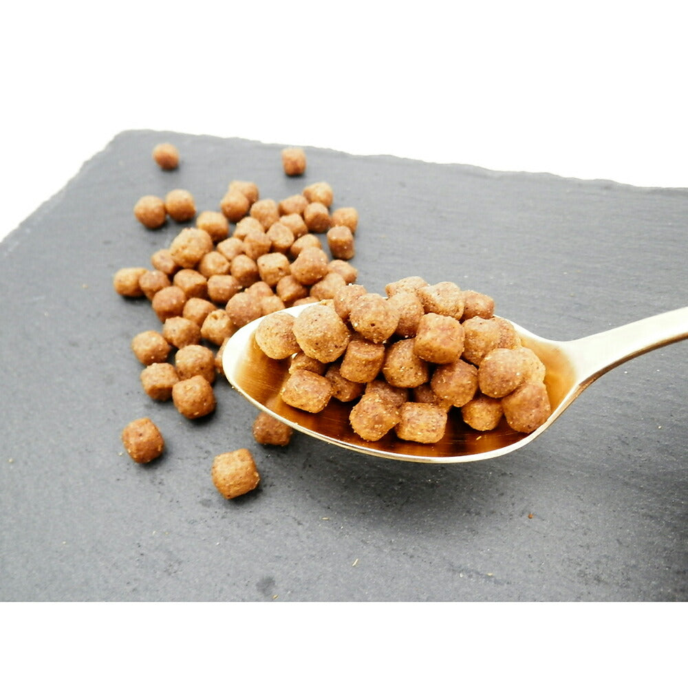 ホリスティックレセピー 成犬用 チキン＆ライス 2.4kg (犬・ドッグ) HolisticRECIPE