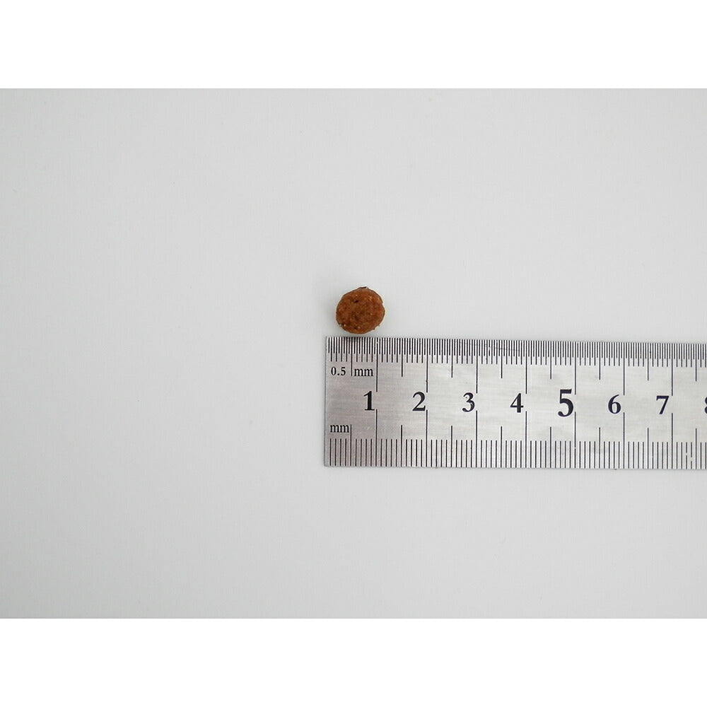 ホリスティックレセピー 成犬用 チキン＆ライス 2.4kg (犬・ドッグ) HolisticRECIPE