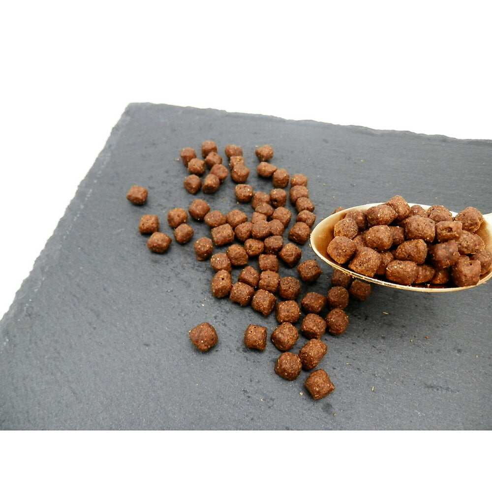 ホリスティックレセピー ソリューション EC-12 1歳から ラム＆ライス 800g (犬・ドッグ) HolisticRECIPE