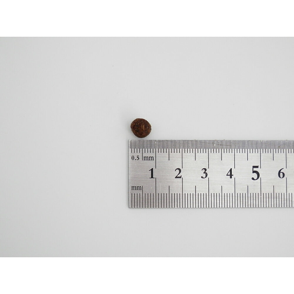 ホリスティックレセピー ソリューション EC-12 1歳から ラム＆ライス 6.4kg (犬・ドッグ) HolisticRECIPE