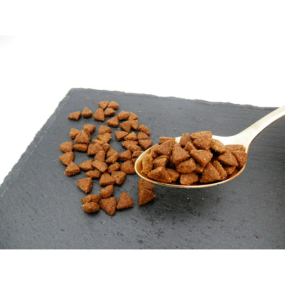 ホリスティックレセピー ソリューション EC-12 猫用 7歳まで チキン＆ライス 1.6kg (猫・キャット) HolisticRECIPE