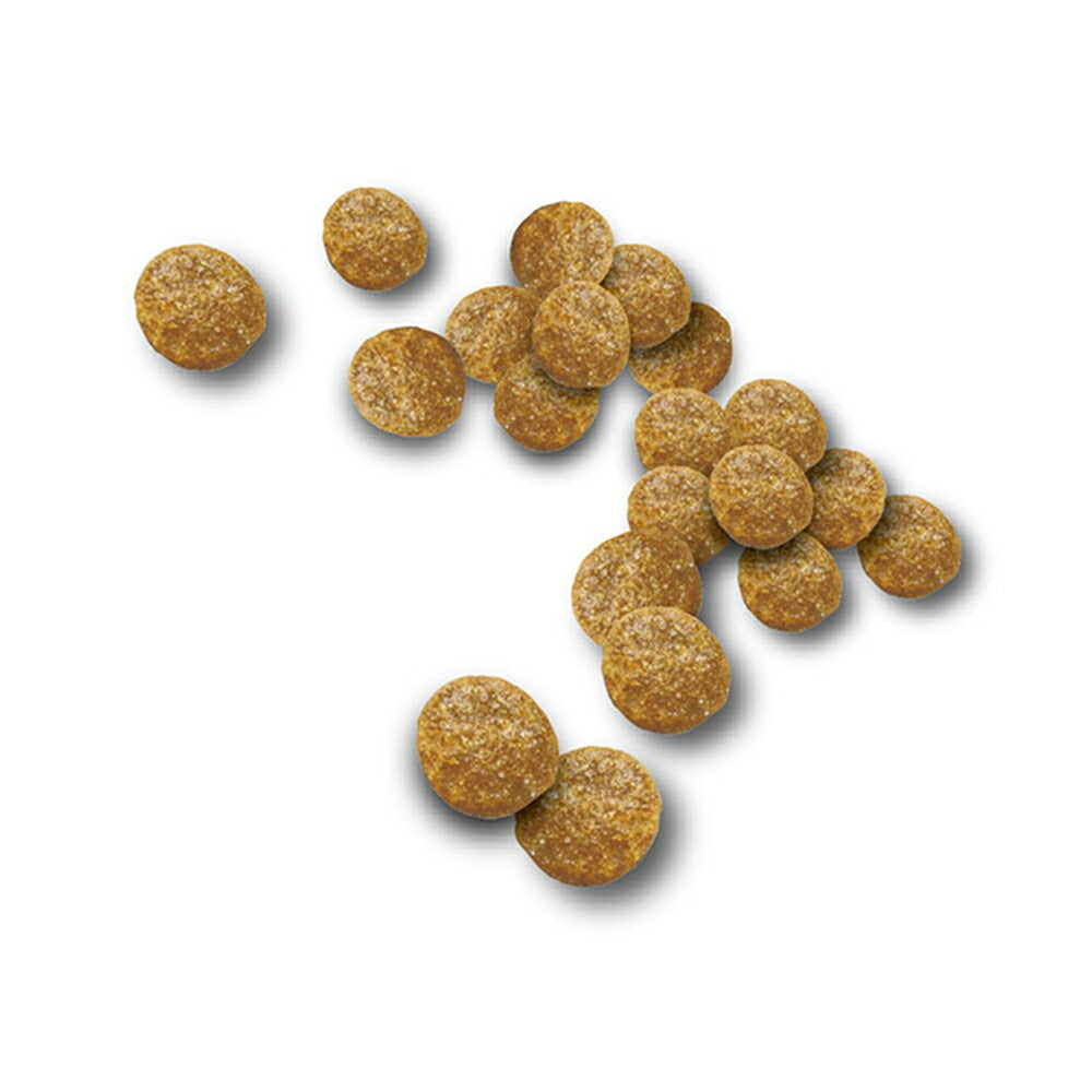 【メール便】いなば CIAO クランキー ちゅ～る和え 海鮮・チキンバラエティ 6g×35袋 (猫・キャット)[M便 1/1]