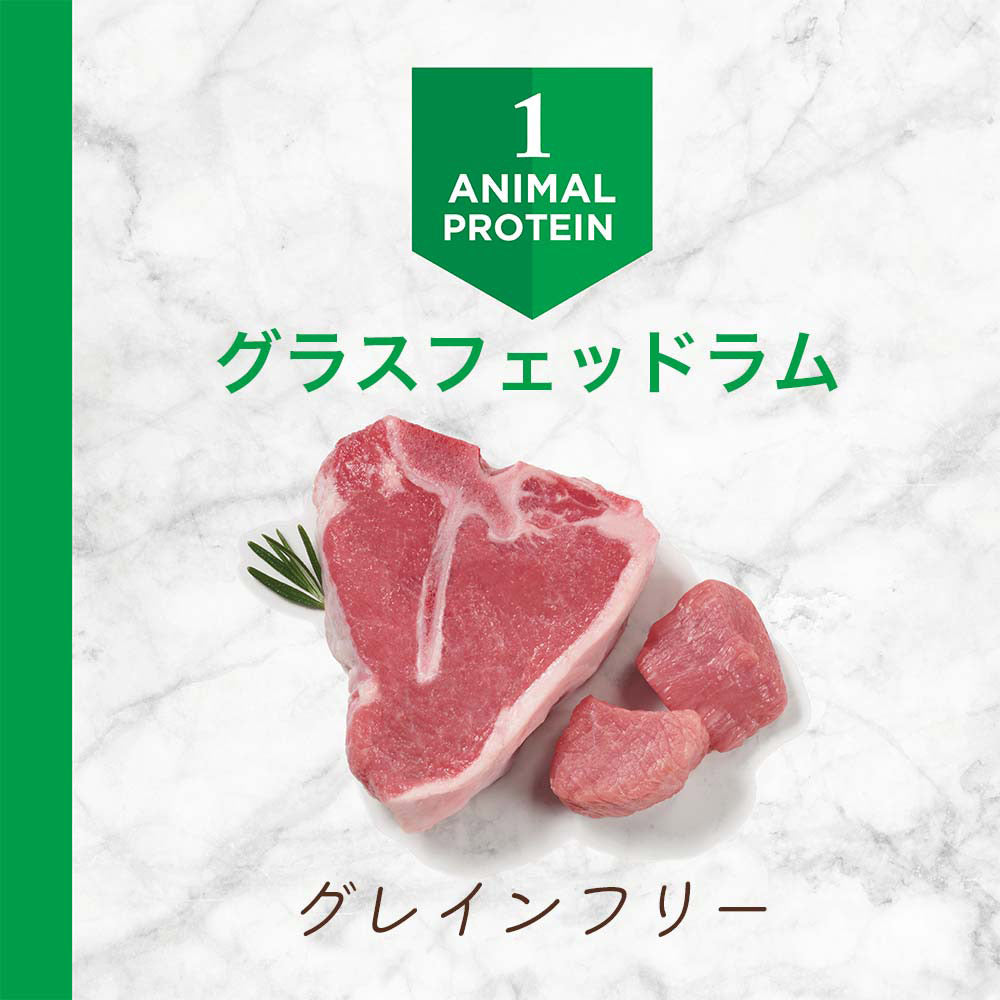 インスティンクト LID リアルラム 1歳以上 1.8kg (犬・ドッグ)[正規品]