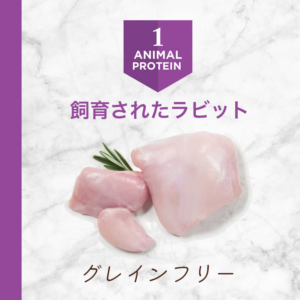 インスティンクト LID リアルラビット 1歳以上 2kg (猫・キャット)[正規品]