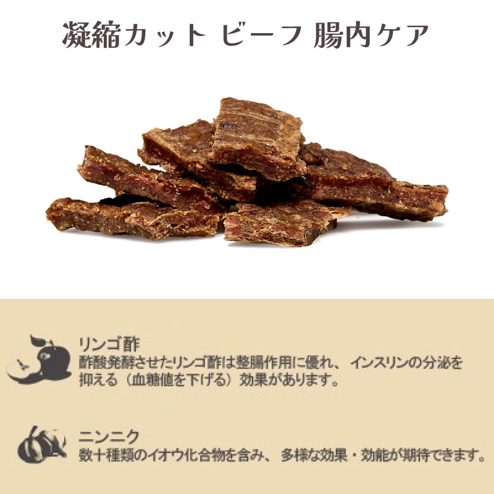 【メール便】iti イティ ドッグトリーツ ビーフジャーキー 腸内ケア 100g (犬・ドッグ)[正規品][M便 1/4]