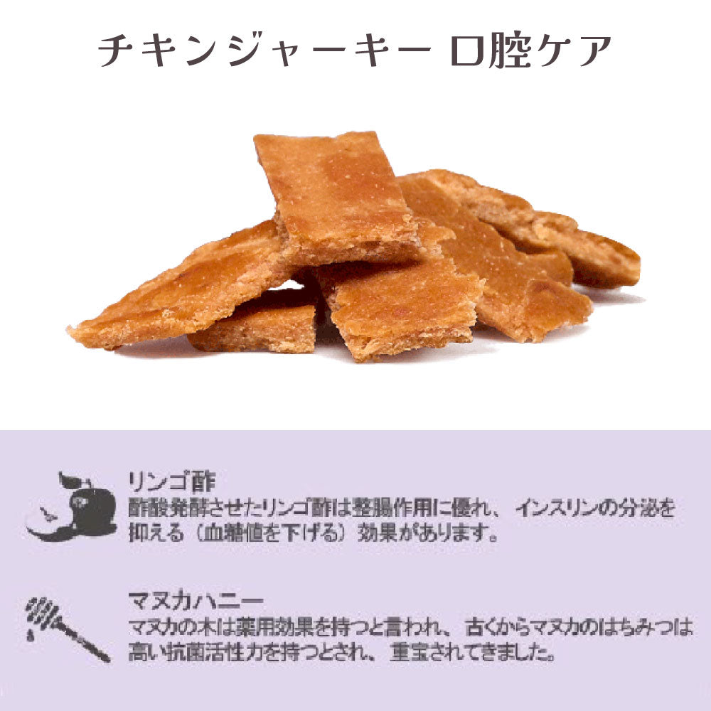 【メール便】iti イティ ドッグトリーツ チキンジャーキー 口腔ケア 100g (犬・ドッグ)[正規品][M便 1/4]