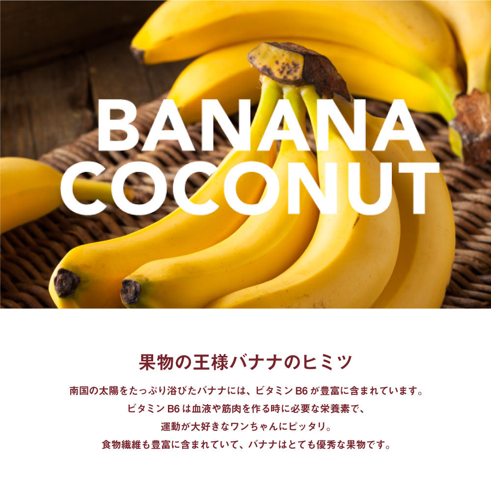 ニューヨークボンボーン NY BON BONE バナナココナッツ カップ 100g (犬・ドッグ)[正規品]