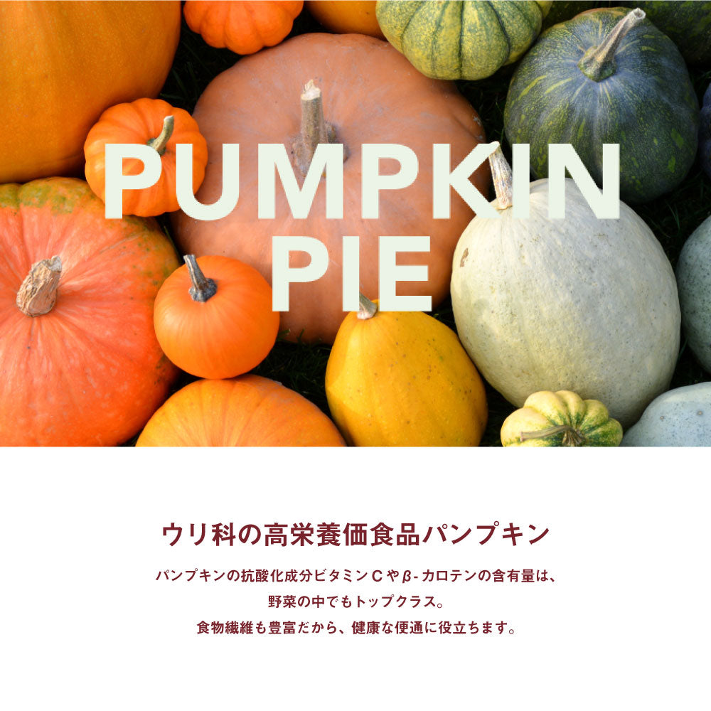 【メール便】ニューヨークボンボーン NY BON BONE パンプキンパイ パック 80g (犬・ドッグ)[正規品][M便 1/6]