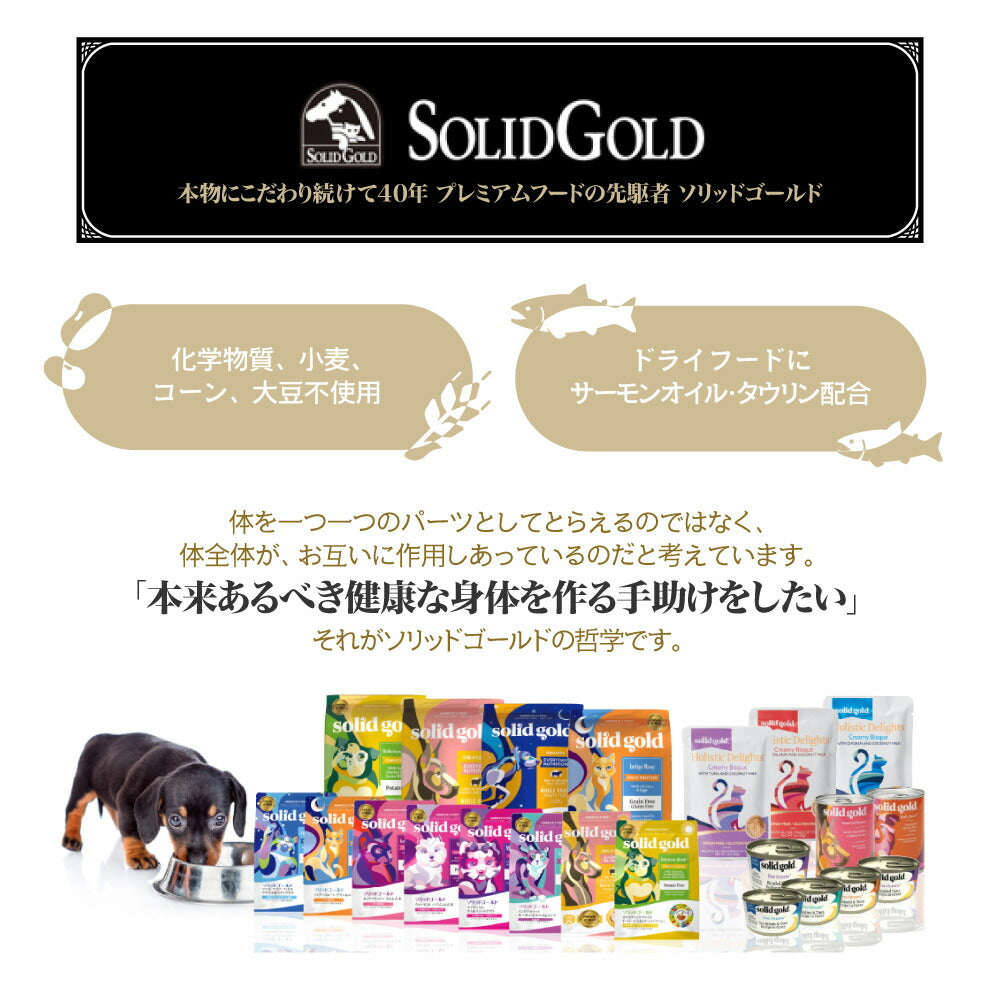 ソリッドゴールド SOLIDGOLD インドアキャット 成猫用 2kg (猫・キャット)[正規品]