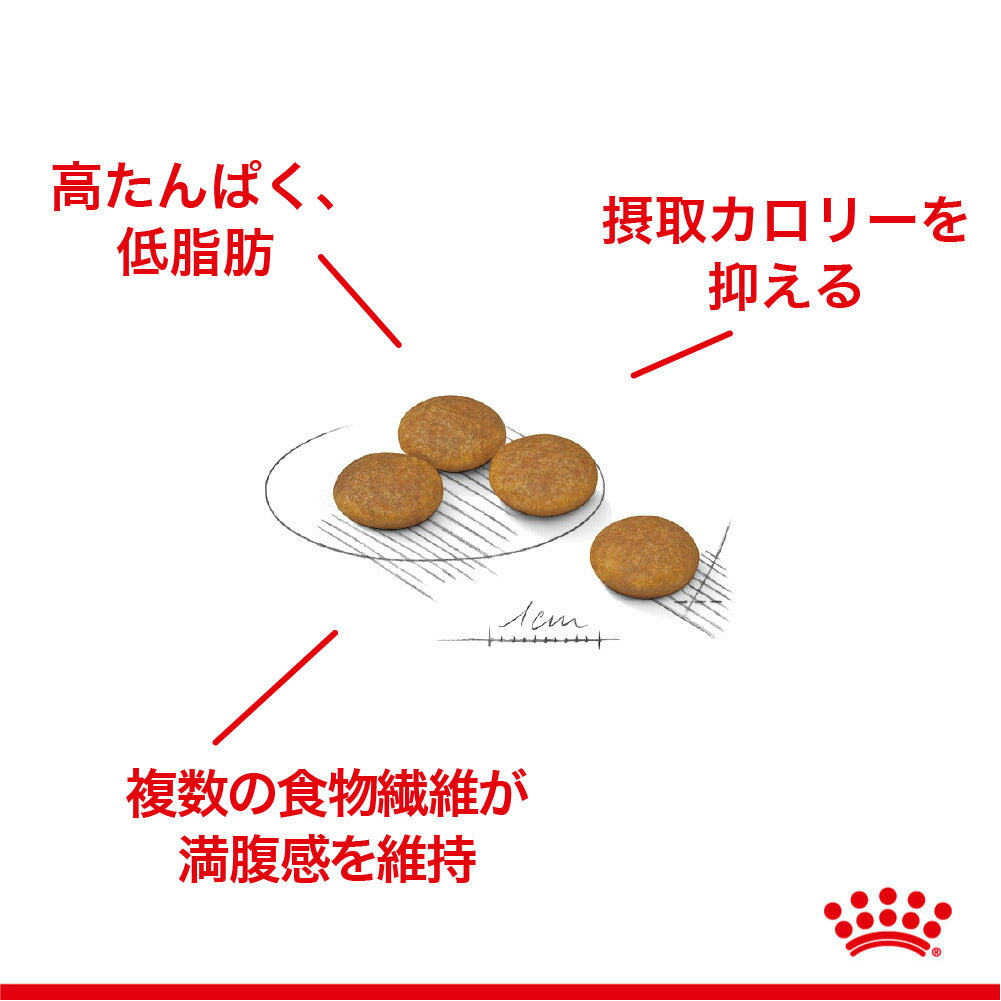 ロイヤルカナン CCN エクストラ スモール ライト ウェイト ケア 超小型犬 減量したい犬用 生後10ヵ月齢以上 1.5kg (犬・ドッグ)[正規品]