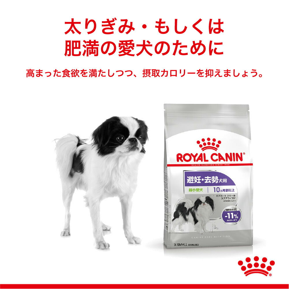 ロイヤルカナン CCN エクストラ スモール ステアライズド 超小型犬