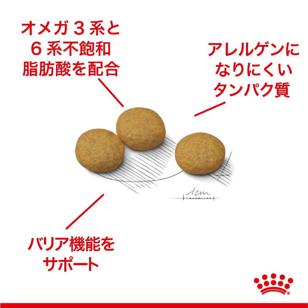 【3kg×3袋】ロイヤルカナン CCN マキシ ダーマコンフォート 大型犬 皮膚の健康を維持したい犬用 生後15ヵ月齢以上 (犬・ドッグ)[正規品]