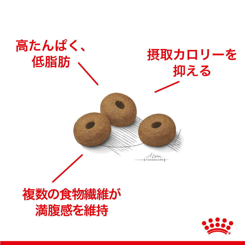 【3kg×3袋】ロイヤルカナン CCN マキシ ライト ウェイト ケア 大型犬 減量したい犬用 生後15ヵ月齢以上 (犬・ドッグ)[正規品]