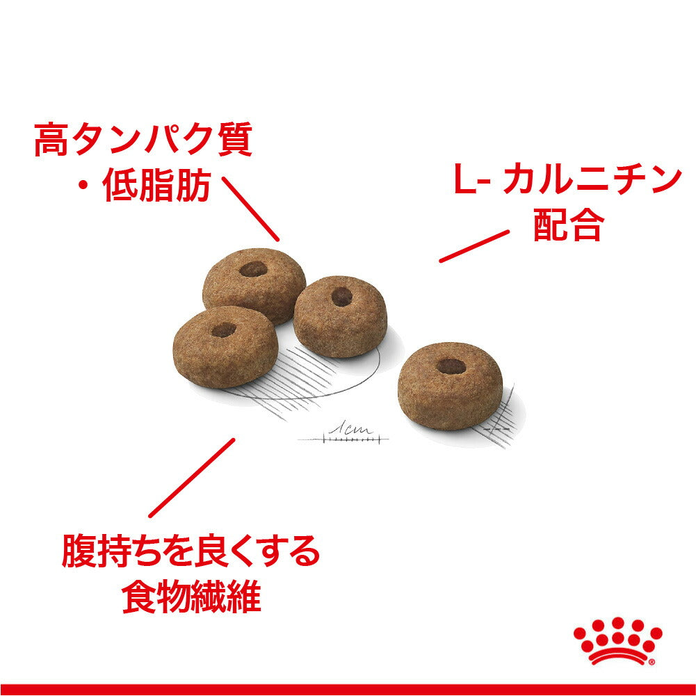ロイヤルカナン CCN マキシ ステアライズド 大型犬 避妊・去勢 生後15