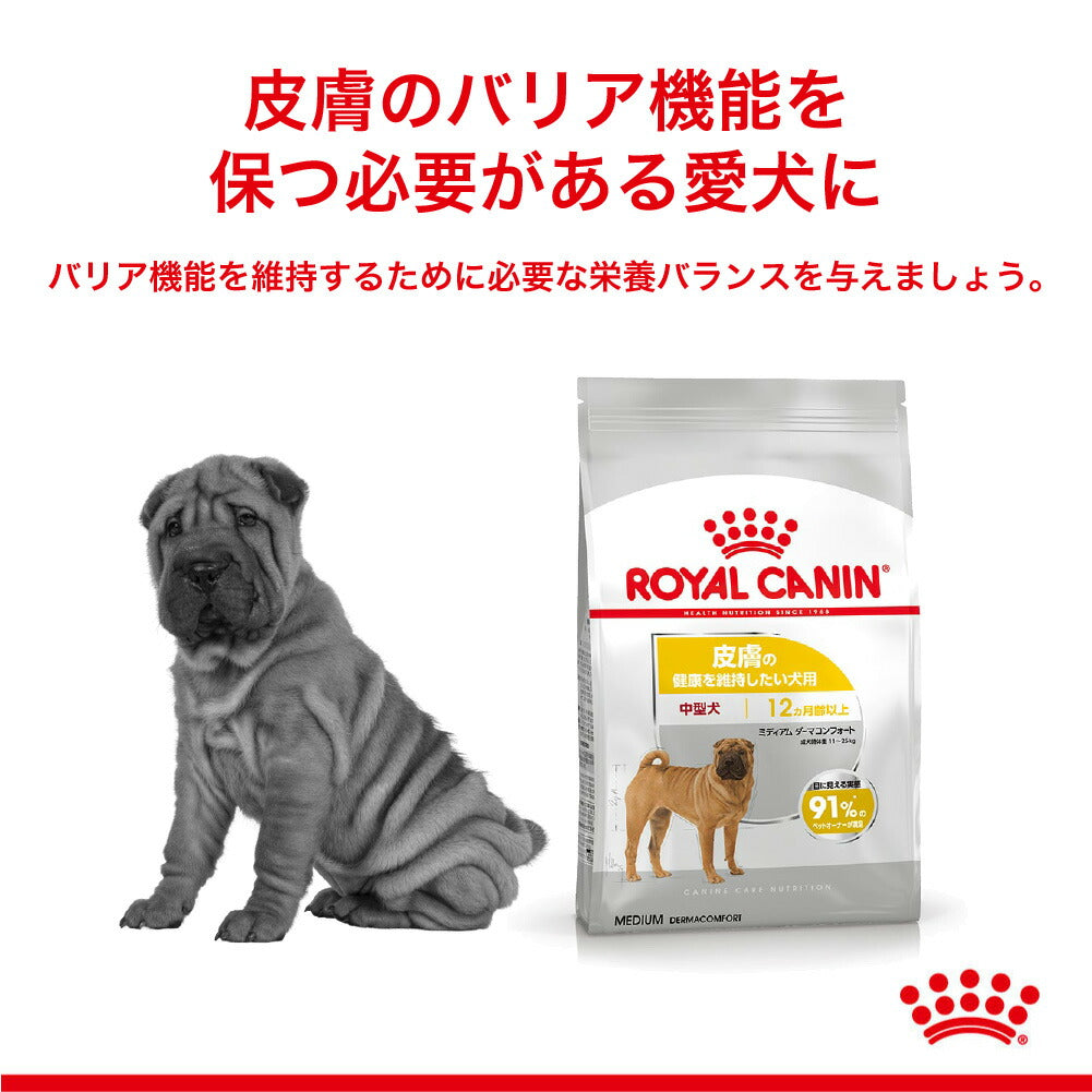 ロイヤルカナン CCN ミディアム ダーマコンフォート 中型犬 皮膚の健康を維持したい犬用 生後12ヵ月齢以上 3kg (犬・ドッグ)[正規品]