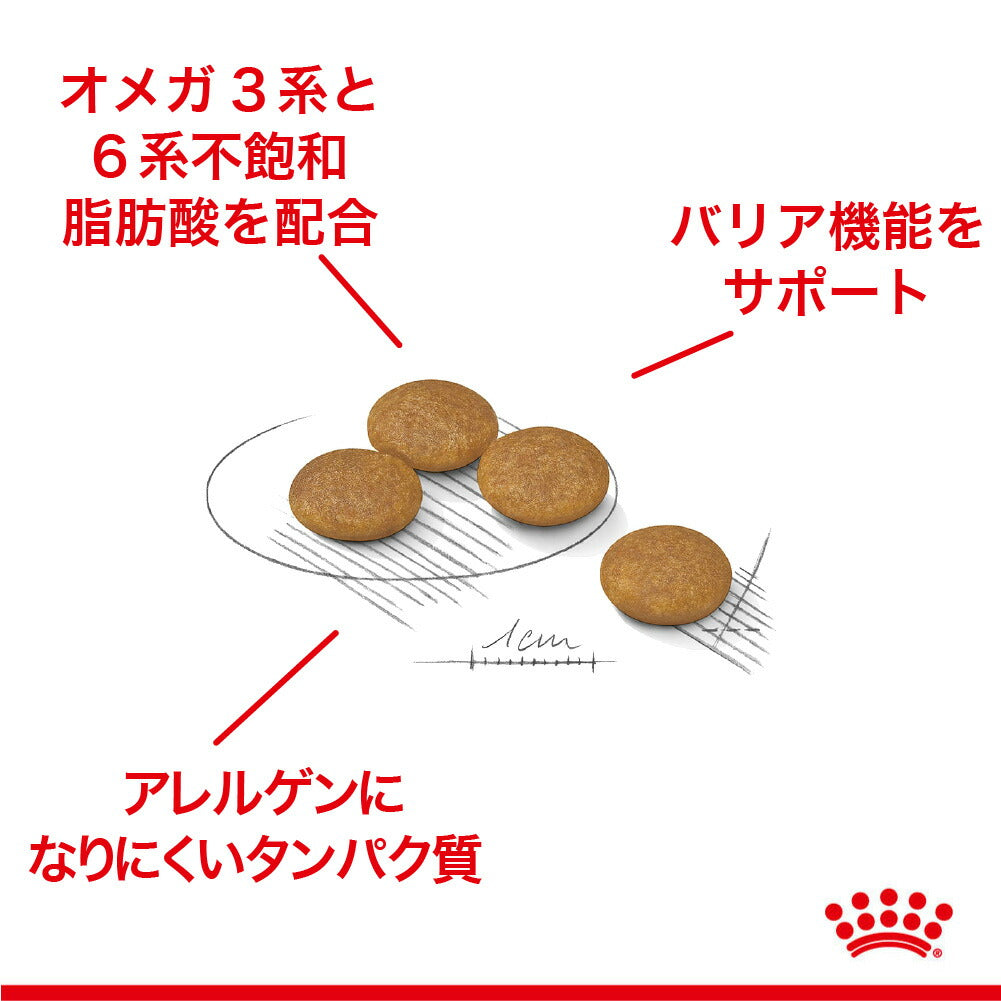 【3kg×4袋】ロイヤルカナン CCN ミディアム ダーマコンフォート 中型犬 皮膚の健康を維持したい犬用 生後12ヵ月齢以上 (犬・ドッグ)[正規品]