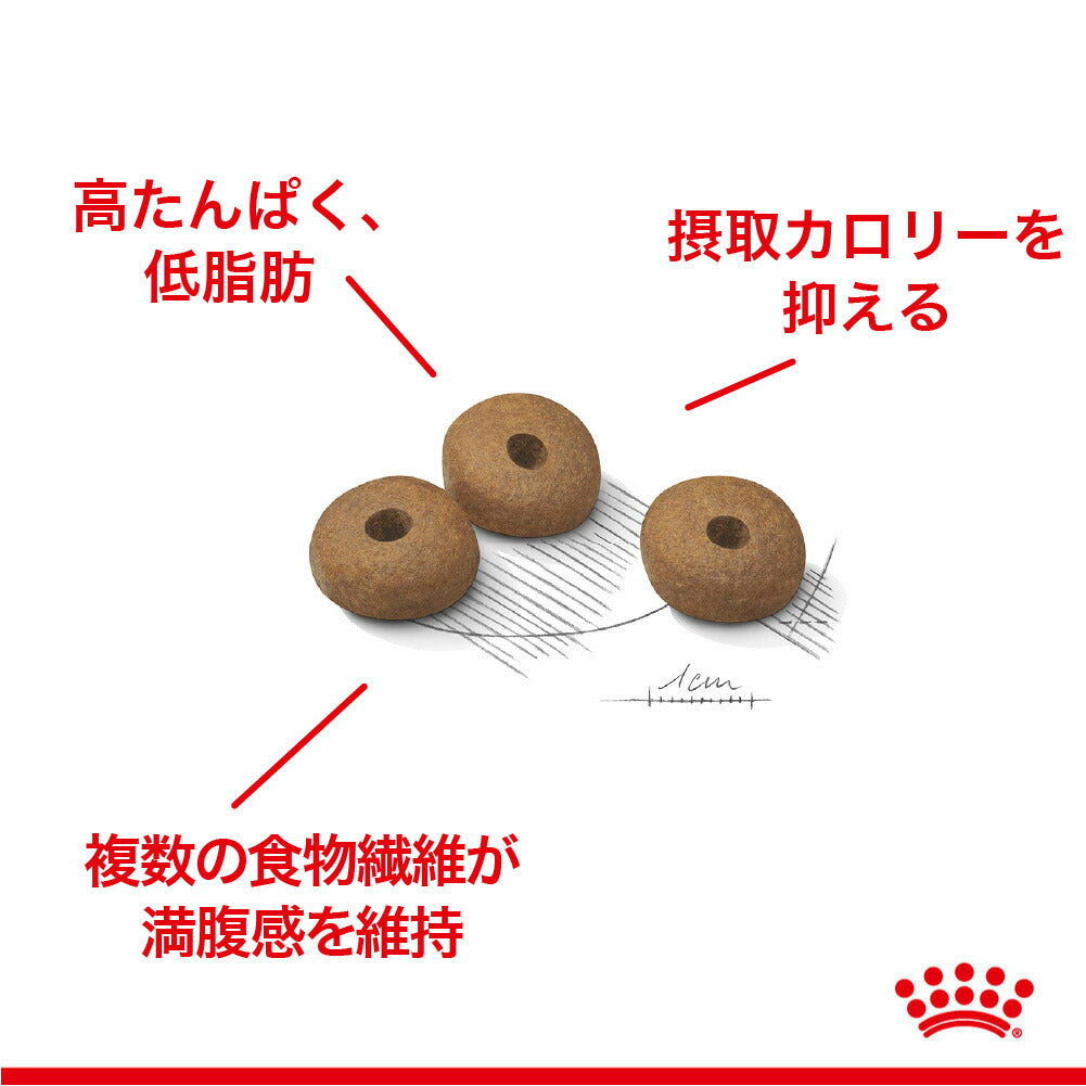 ロイヤルカナン CCN ミディアム ライト ウェイト ケア 中型犬 減量したい犬用 生後12ヵ月齢以上 3kg (犬・ドッグ)[正規品]