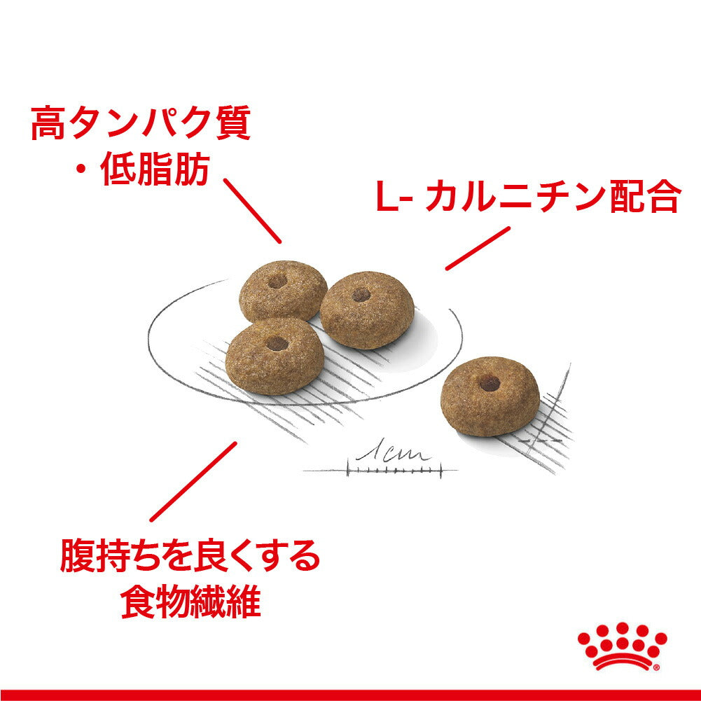 【12kg×2袋】ロイヤルカナン CCN ミディアム ステアライズド 中型犬 避妊・去勢 生後12ヵ月齢以上 (犬・ドッグ)[正規品]