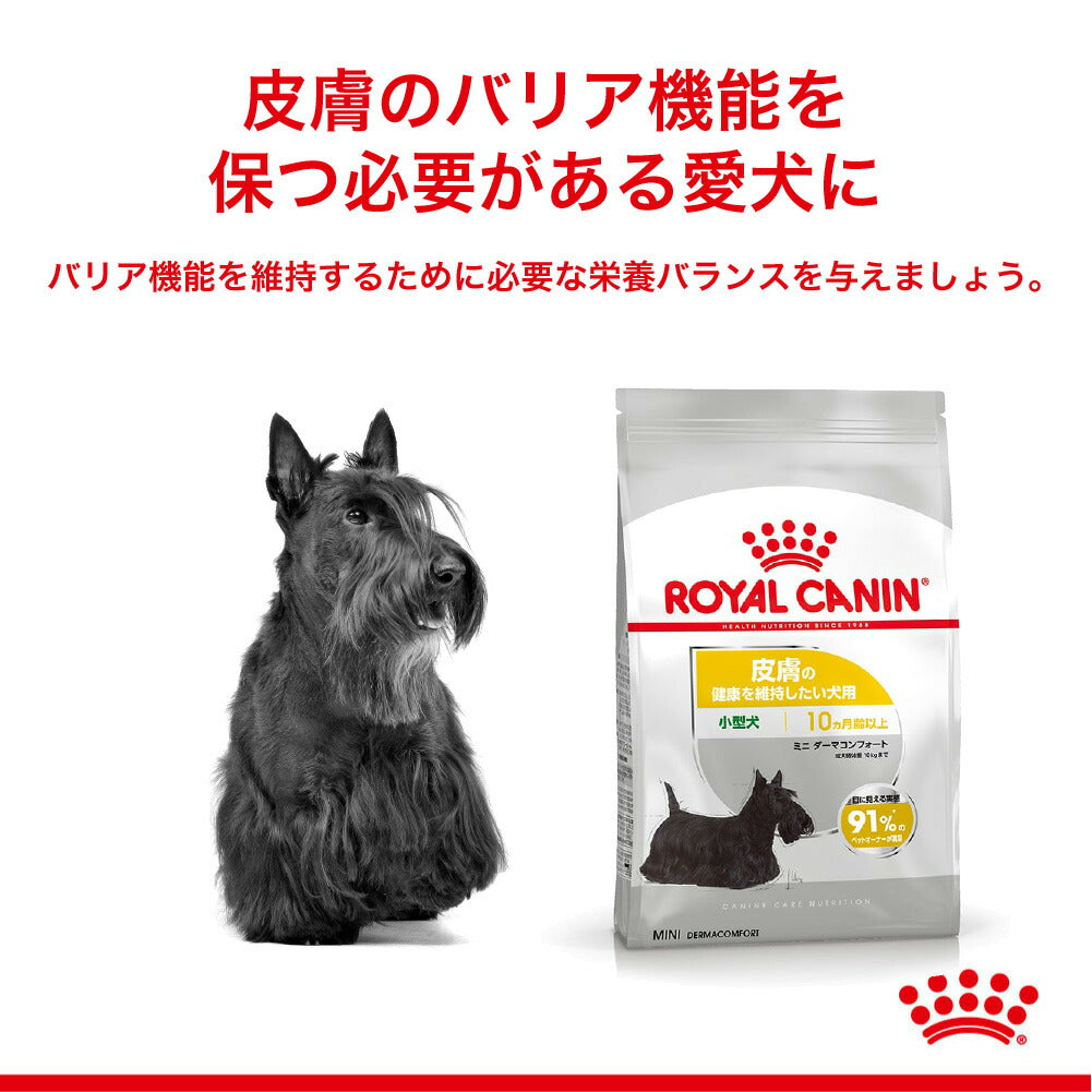 【800g×10袋】ロイヤルカナン CCN ミニ ダーマコンフォート 小型犬 皮膚の健康を維持したい犬用 生後10ヵ月齢以上 (犬・ドッグ)[正規品]