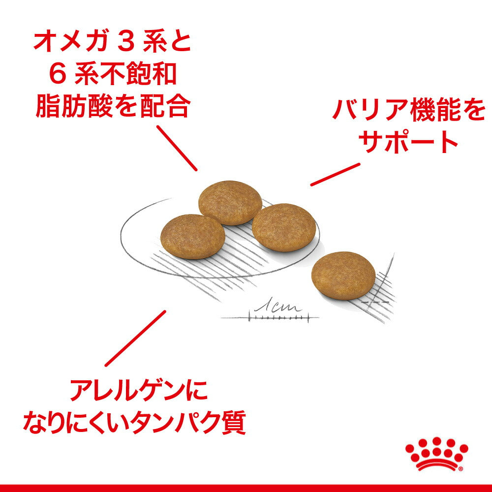 【2kg×2袋】ロイヤルカナン CCN ミニ ダーマコンフォート 小型犬 皮膚の健康を維持したい犬用 生後10ヵ月齢以上 (犬・ドッグ)[正規品]