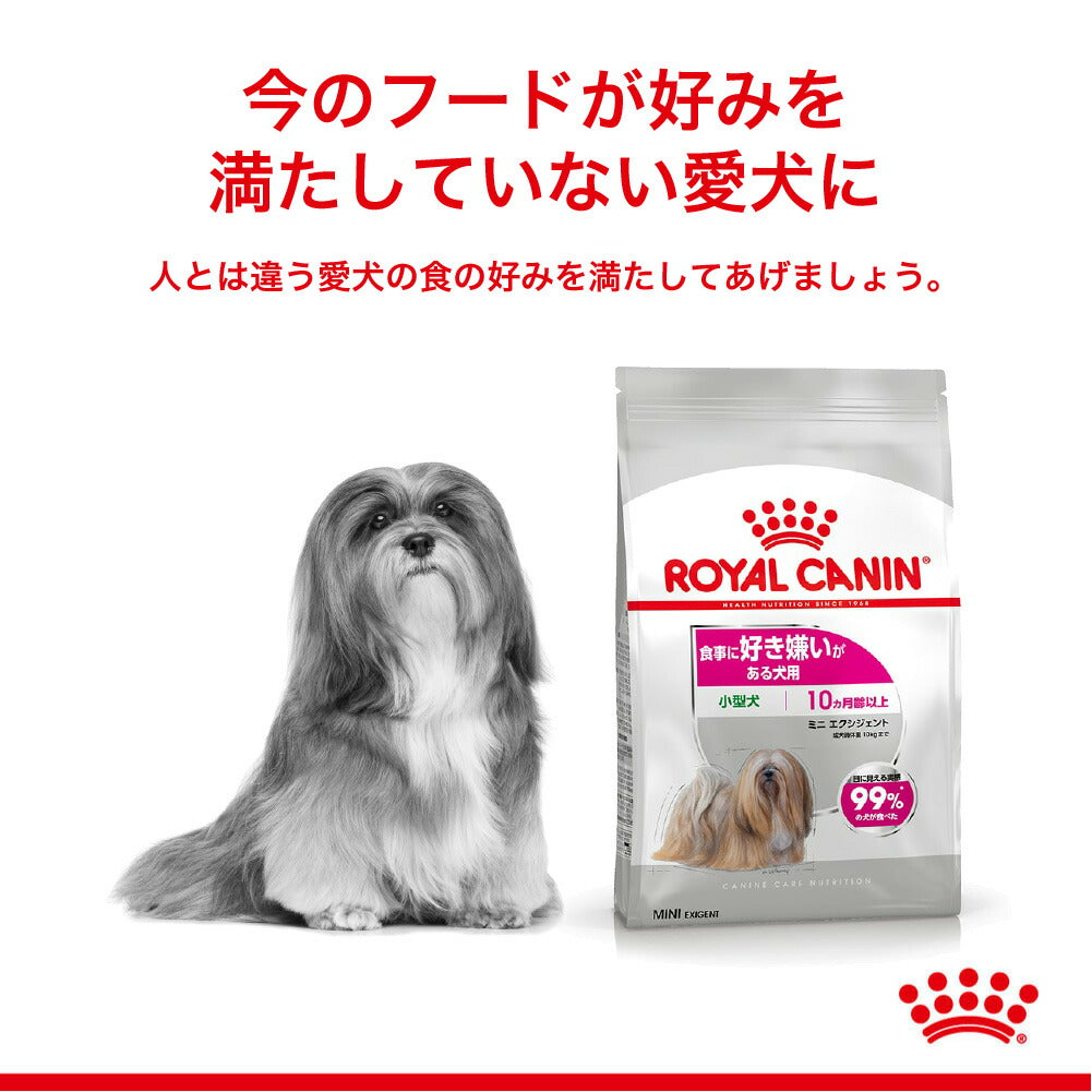 【2kg×6袋】ロイヤルカナン CCN ミニ エクシジェント 小型犬 食事に好き嫌いがある犬用 生後10ヵ月齢以上 (犬・ドッグ)[正規品]