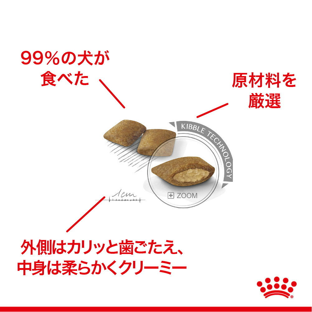 ロイヤルカナン CCN ミニ エクシジェント 小型犬 食事に好き嫌いがある犬用 生後10ヵ月齢以上 2kg (犬・ドッグ)[正規品]