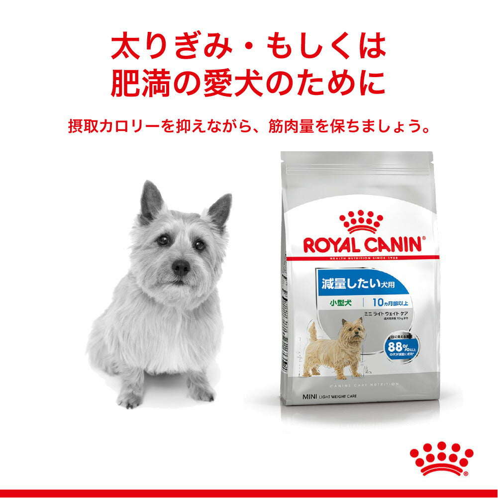 【2kg×4袋】ロイヤルカナン CCN ミニ ライト ウェイト ケア 小型犬 減量したい犬用 生後10ヵ月齢以上 (犬・ドッグ)[正規品]
