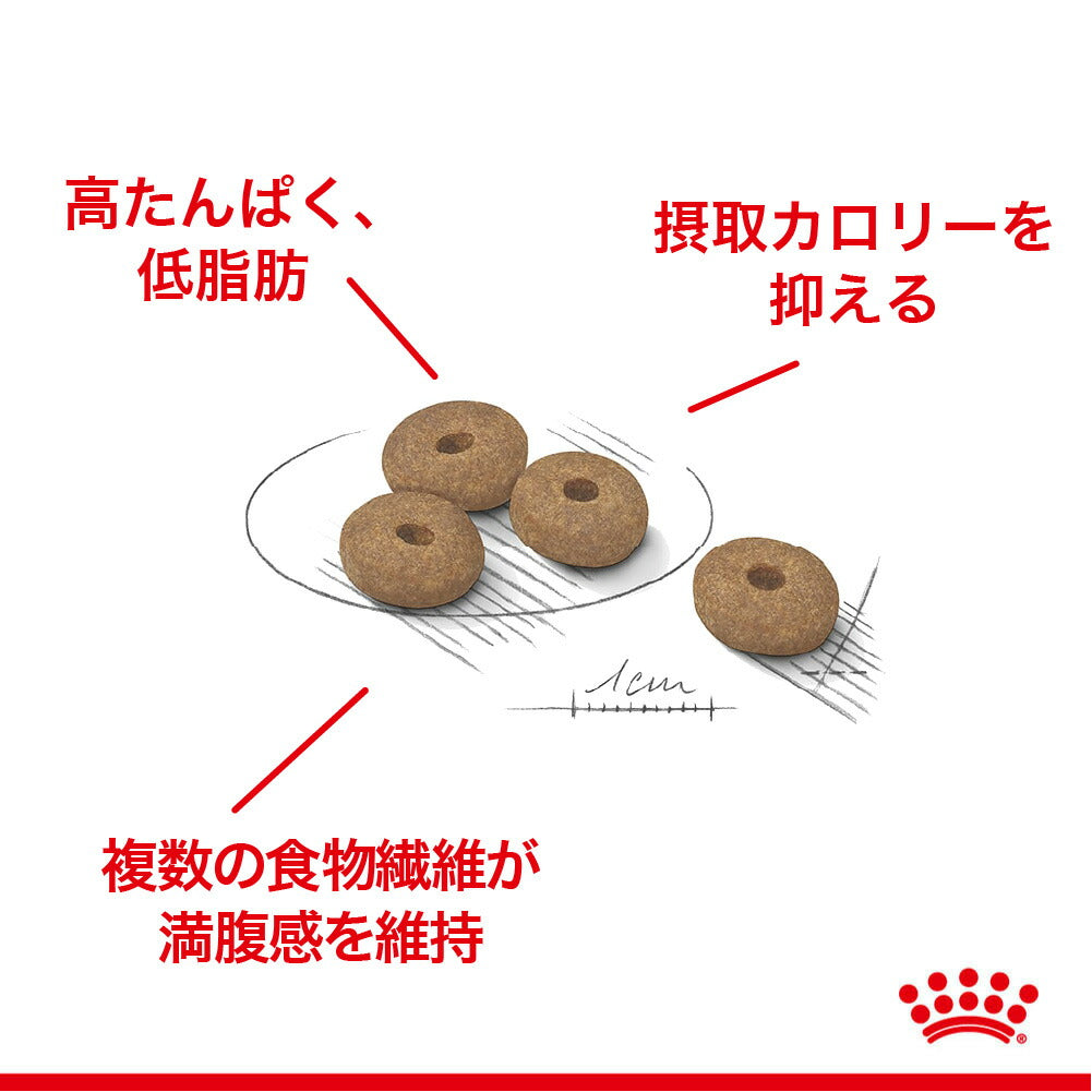 【800g×5袋】ロイヤルカナン CCN ミニ ライト ウェイト ケア 小型犬 減量したい犬用 生後10ヵ月齢以上 (犬・ドッグ)[正規品]