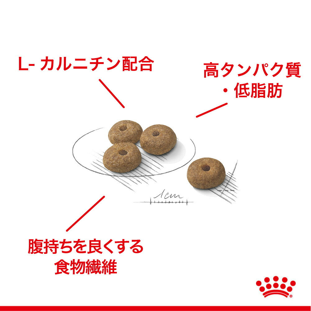2kg×2袋】ロイヤルカナン CCN ミニ ステアライズド 小型犬 避妊・去勢