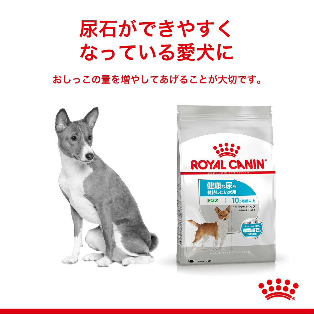 【2kg×2袋】ロイヤルカナン CCN ミニ ユリナリー ケア 小型犬 健康な尿を維持したい犬用 生後10ヵ月齢以上 (犬・ドッグ)[正規品]