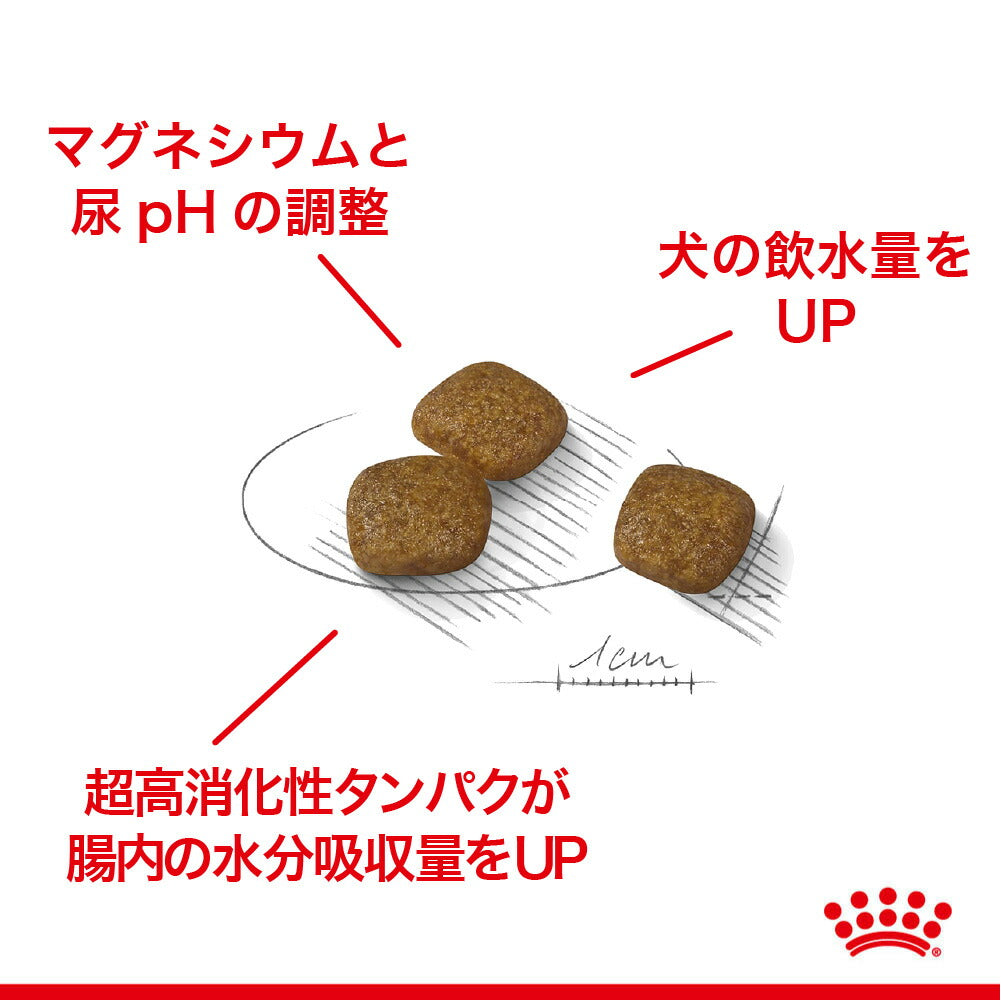 ロイヤルカナン CCN ミニ ユリナリー ケア 小型犬 健康な尿を維持したい犬用 生後10ヵ月齢以上 2kg (犬・ドッグ)[正規品]