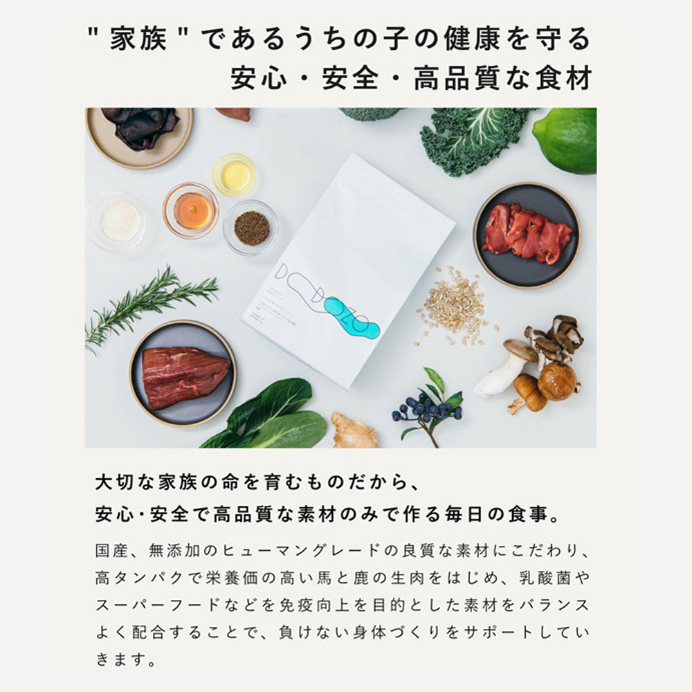 DOZO ドーゾ 室内飼育 成犬用 総合栄養食 低アレルゲン 1.2kg (犬・ドッグ)