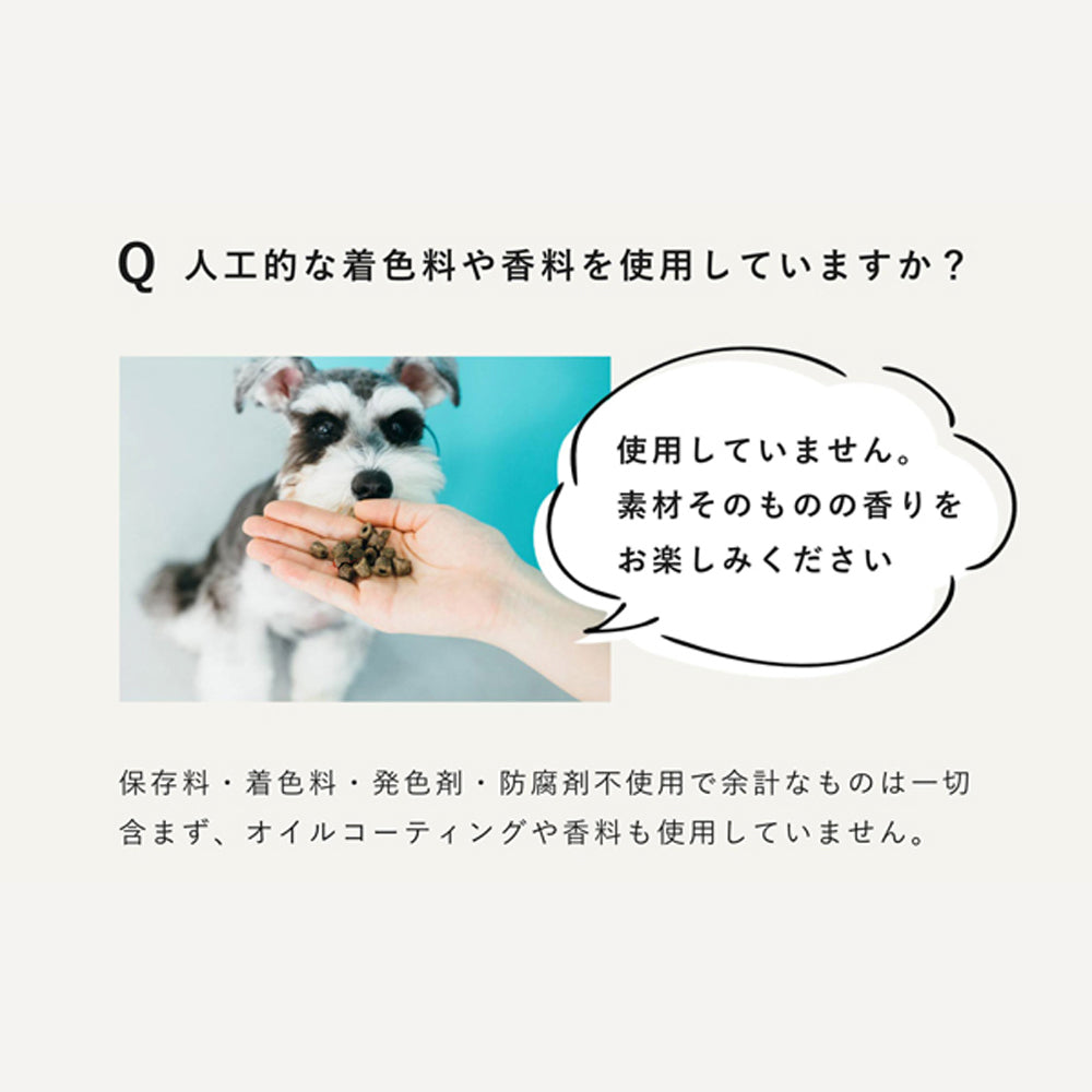 DOZO ドーゾ 室内飼育 成犬用 総合栄養食 低アレルゲン 1.2kg (犬・ドッグ)
