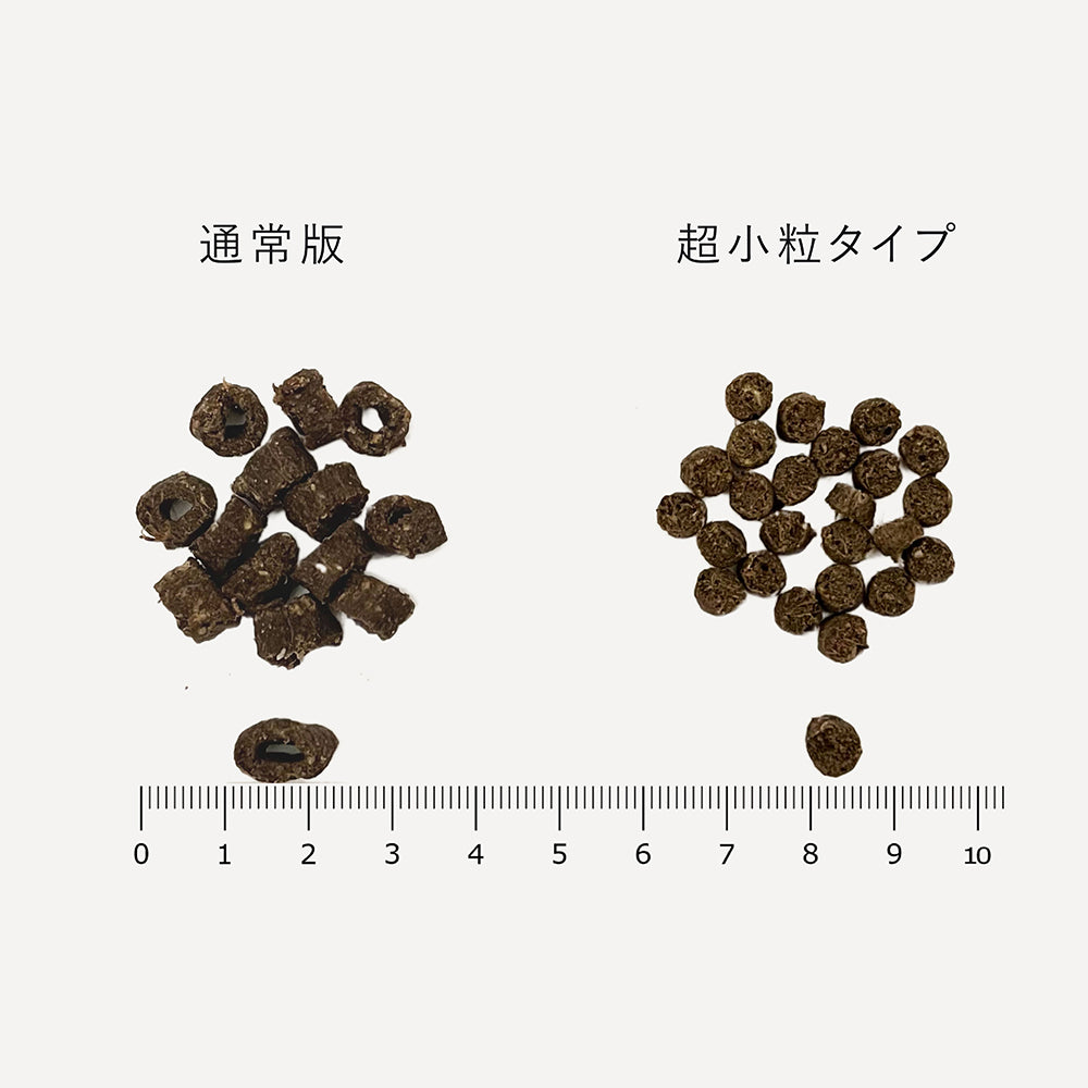 【メール便】DOZO ドーゾ 室内飼育 成犬用 総合栄養食 低アレルゲン 超小粒 トライアルサイズ お試し 100g (犬・ドッグ)[M便 1/2]