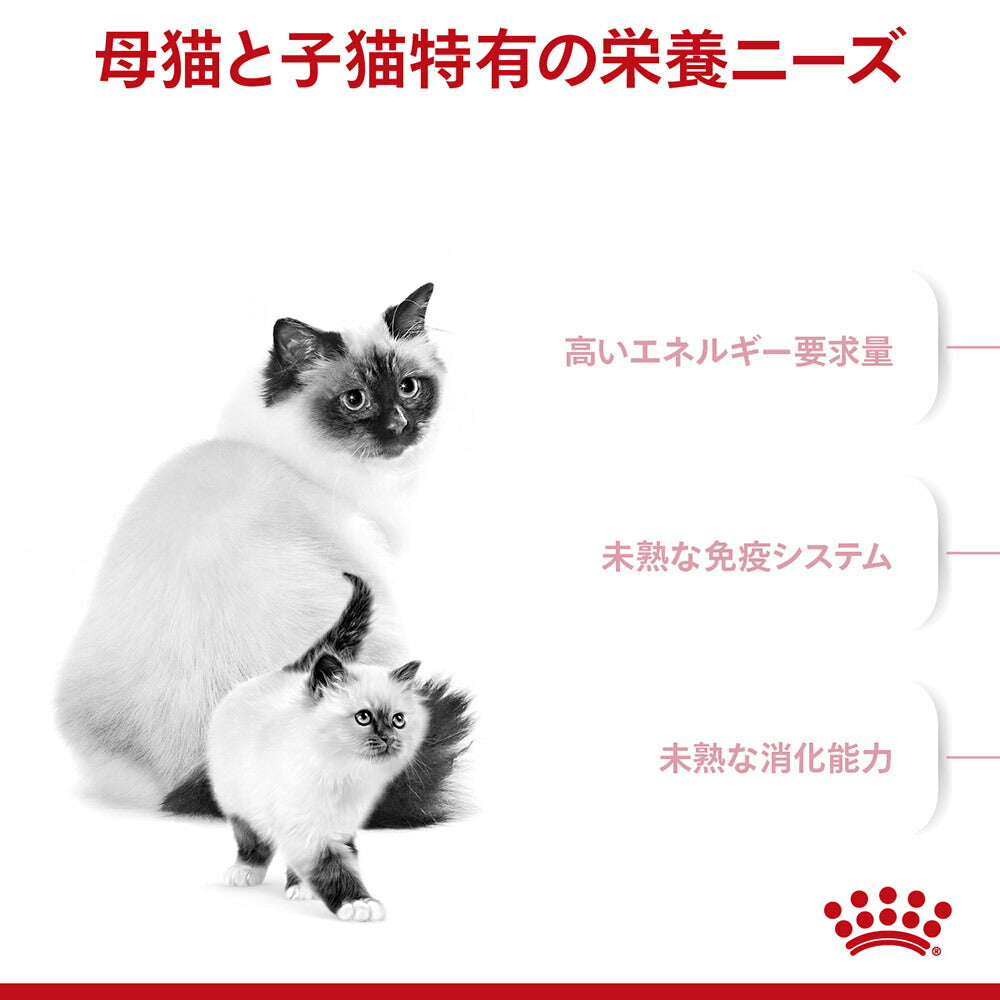 ロイヤルカナン FHN マザー&ベビーキャット 成長前期の子猫用 生後1～4ヵ月齢 妊娠・授乳期の母猫用 400g(猫・キャット)[正規品]