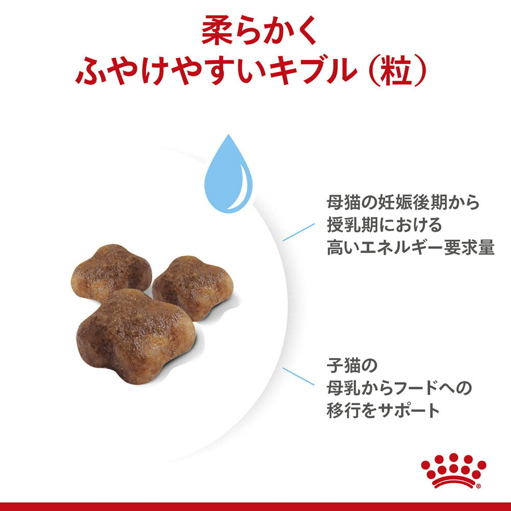 ロイヤルカナン FHN マザー&ベビーキャット 成長前期の子猫用 生後1～4ヵ月齢 妊娠・授乳期の母猫用 400g(猫・キャット)[正規品]