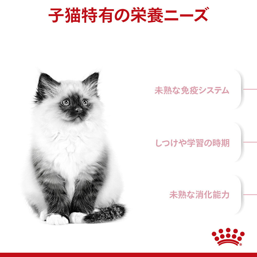 【2kg×6袋】ロイヤルカナン FHN キトン 成長後期の子猫用 生後12ヵ月齢まで (猫・キャット)[正規品]