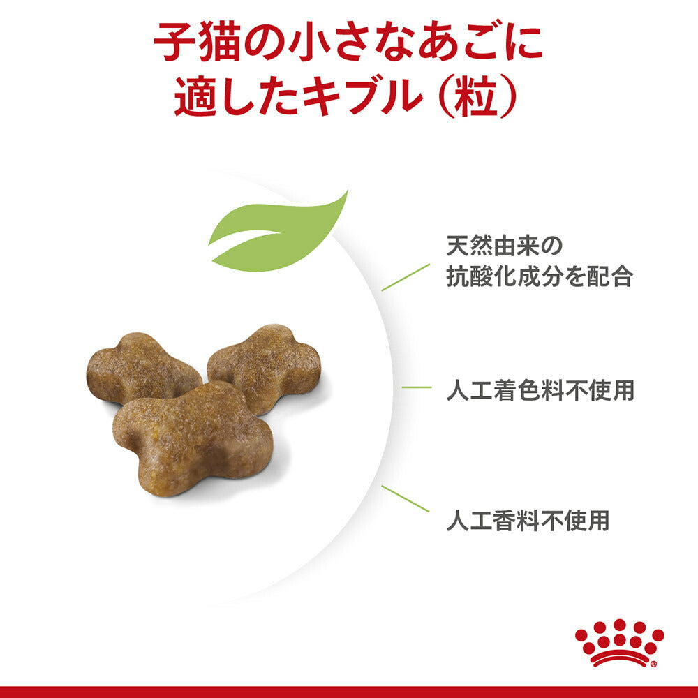 ロイヤルカナン FHN キトン 成長後期の子猫用 生後12ヵ月齢まで 400g (猫・キャット)[正規品]