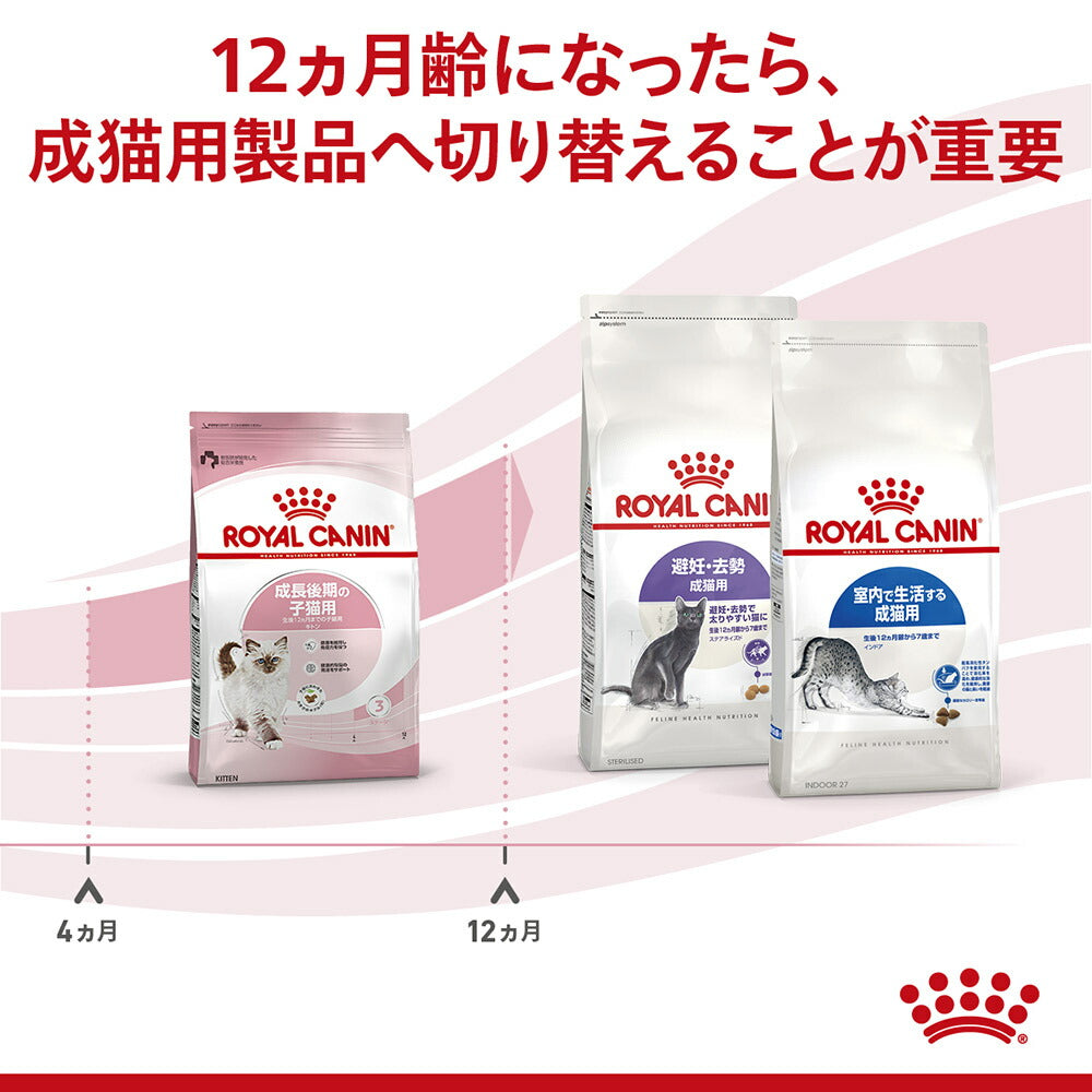 【400g×3袋】ロイヤルカナン FHN キトン 成長後期の子猫用 生後12ヵ月齢まで (猫・キャット)[正規品]