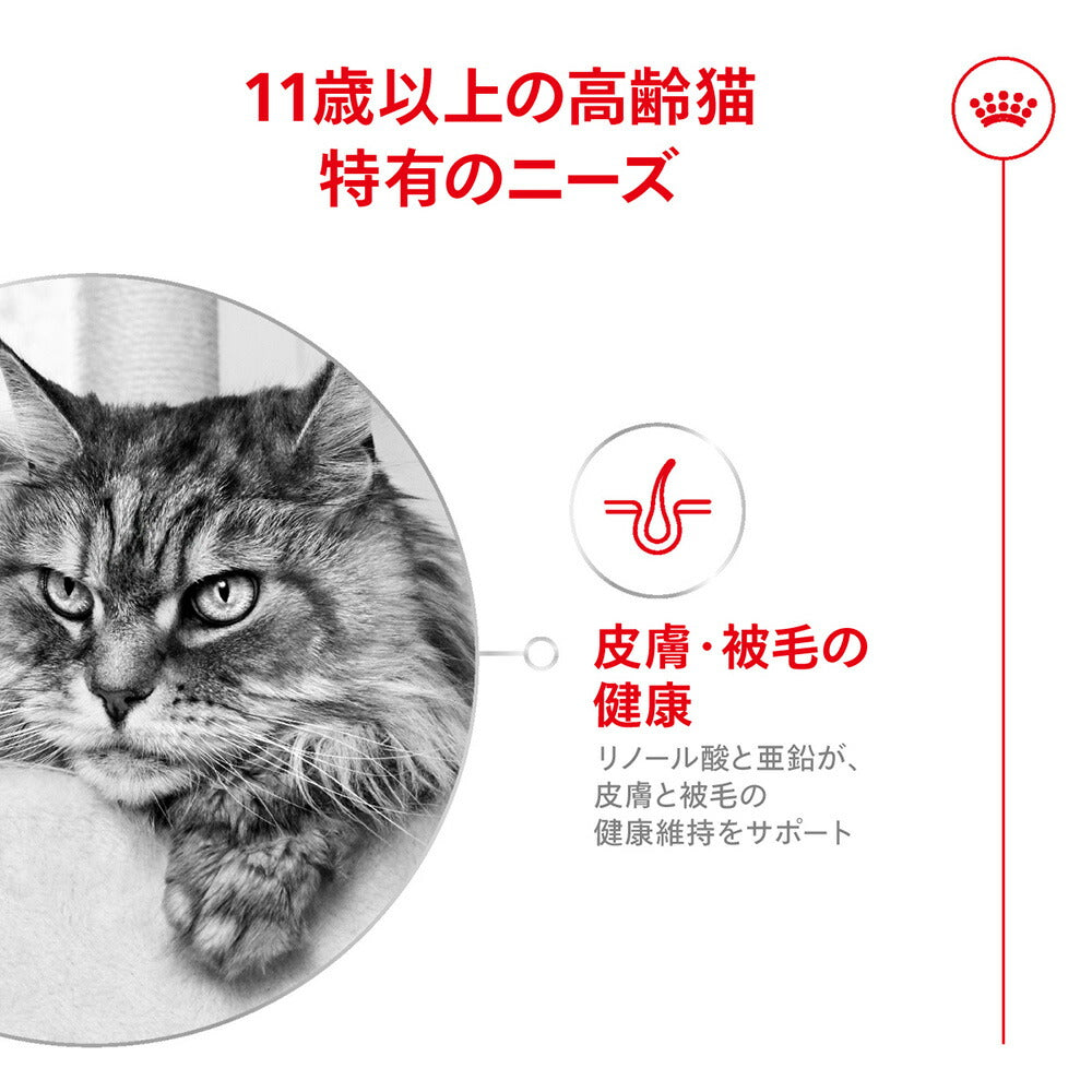 ロイヤルカナン FHN エイジング 11+ 高齢猫用 11歳 400g (猫・キャット)[正規品]