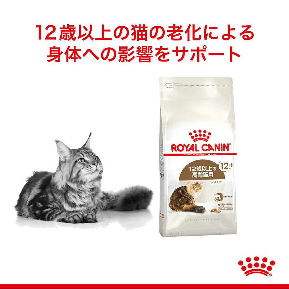 【400g×4袋】ロイヤルカナン FHN エイジング 12+ 高齢猫用 12歳以上 (猫・キャット)[正規品]