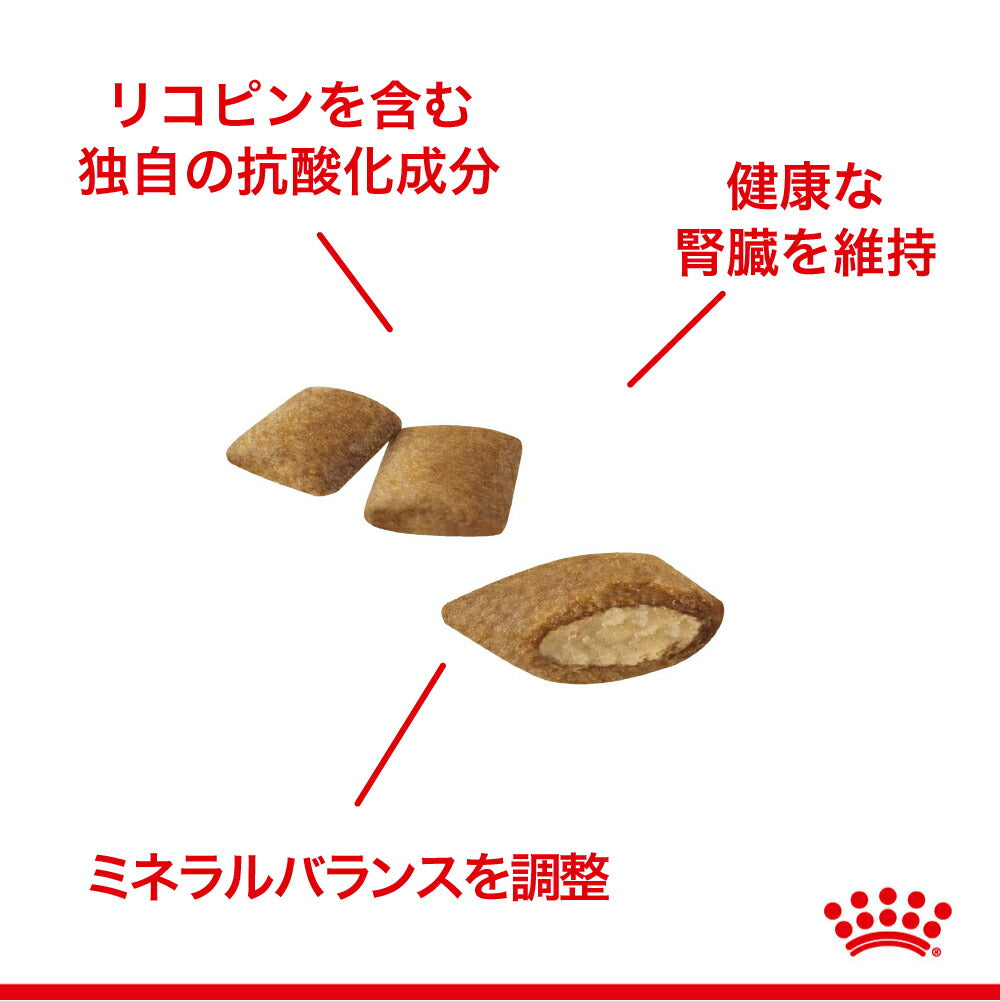 【2kg×6袋】ロイヤルカナン FHN エイジング 12+ 高齢猫用 12歳以上 (猫・キャット)[正規品]
