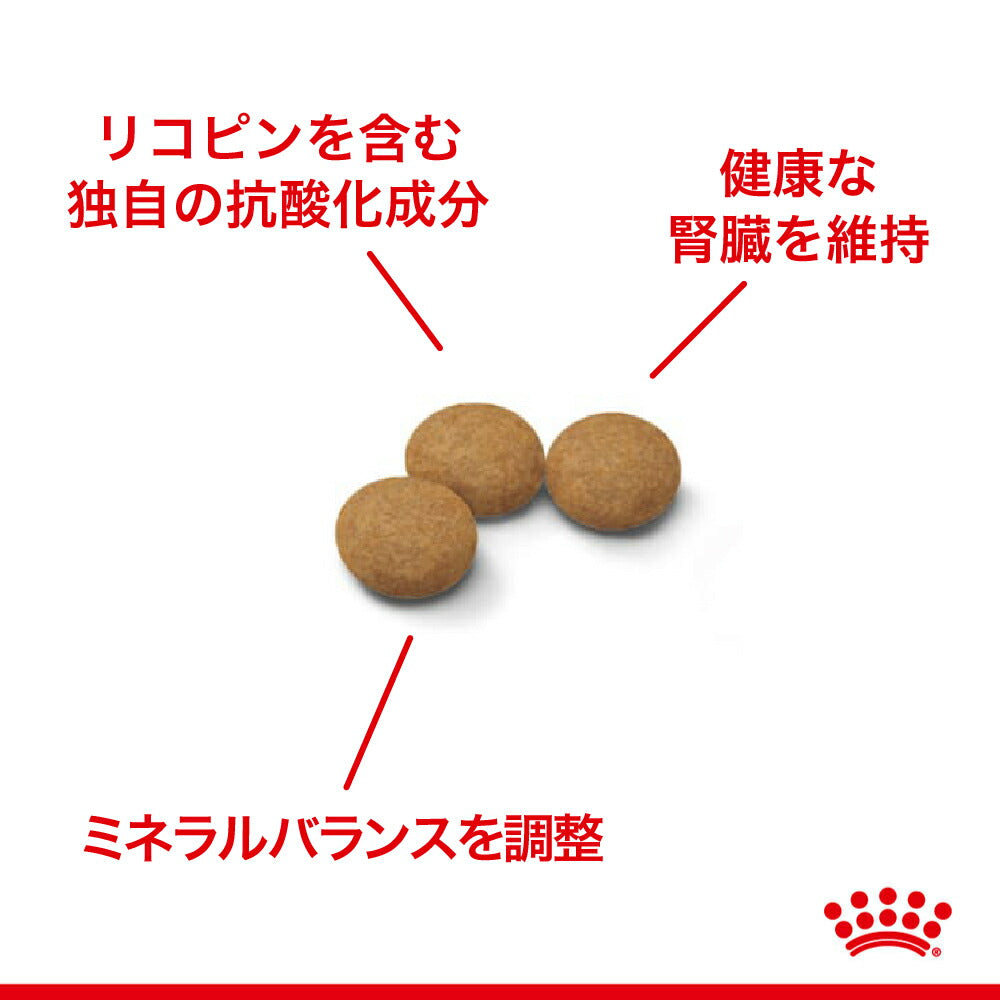 【2kg×5袋】ロイヤルカナン FHN エイジング ステアライズド 12+ 避妊・去勢 高齢猫用 12歳以上 (猫・キャット)[正規品]