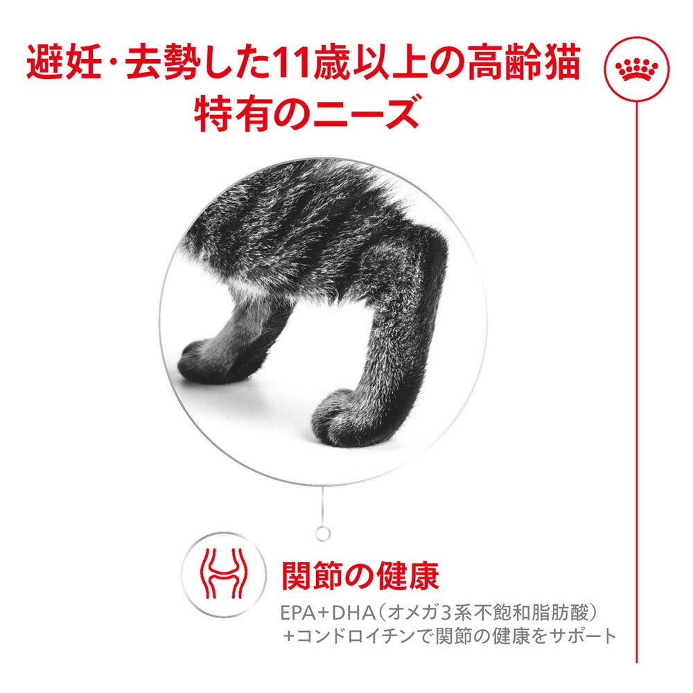 ロイヤルカナン FHN エイジング ステアライズド 11+ 避妊・去勢 高齢猫用 11歳以上 400g (猫・キャット)[正規品]