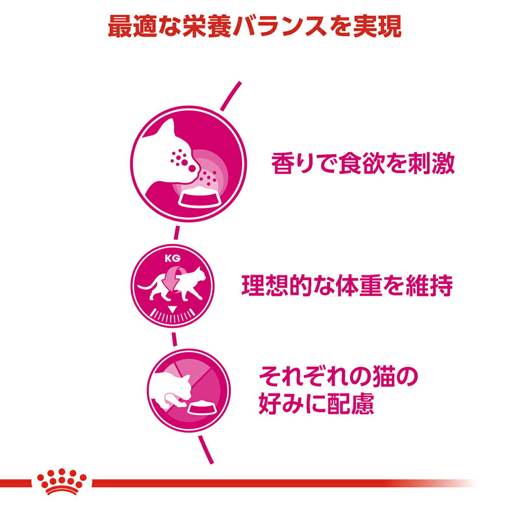 ロイヤルカナン FHN アロマ エクシジェント 食事にこだわりがある成猫用 生後12ヵ月齢から12歳まで 400g (猫・キャット)[正規品]
