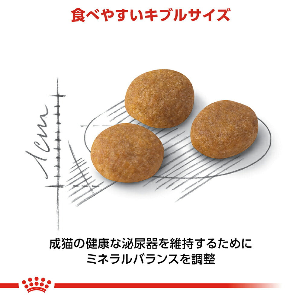 【400g×5袋】ロイヤルカナン FHN アロマ エクシジェント 食事にこだわりがある成猫用 生後12ヵ月齢から12歳まで (猫・キャット)[正規品]