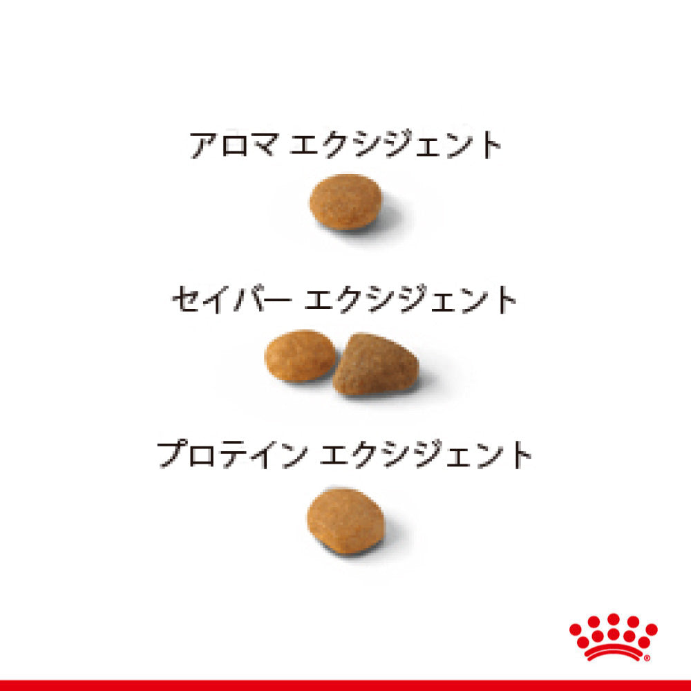 【360g×12箱】ロイヤルカナン FHN エクシジェント トライアルセット 食事にこだわりがある成猫用 (猫・キャット)[正規品]