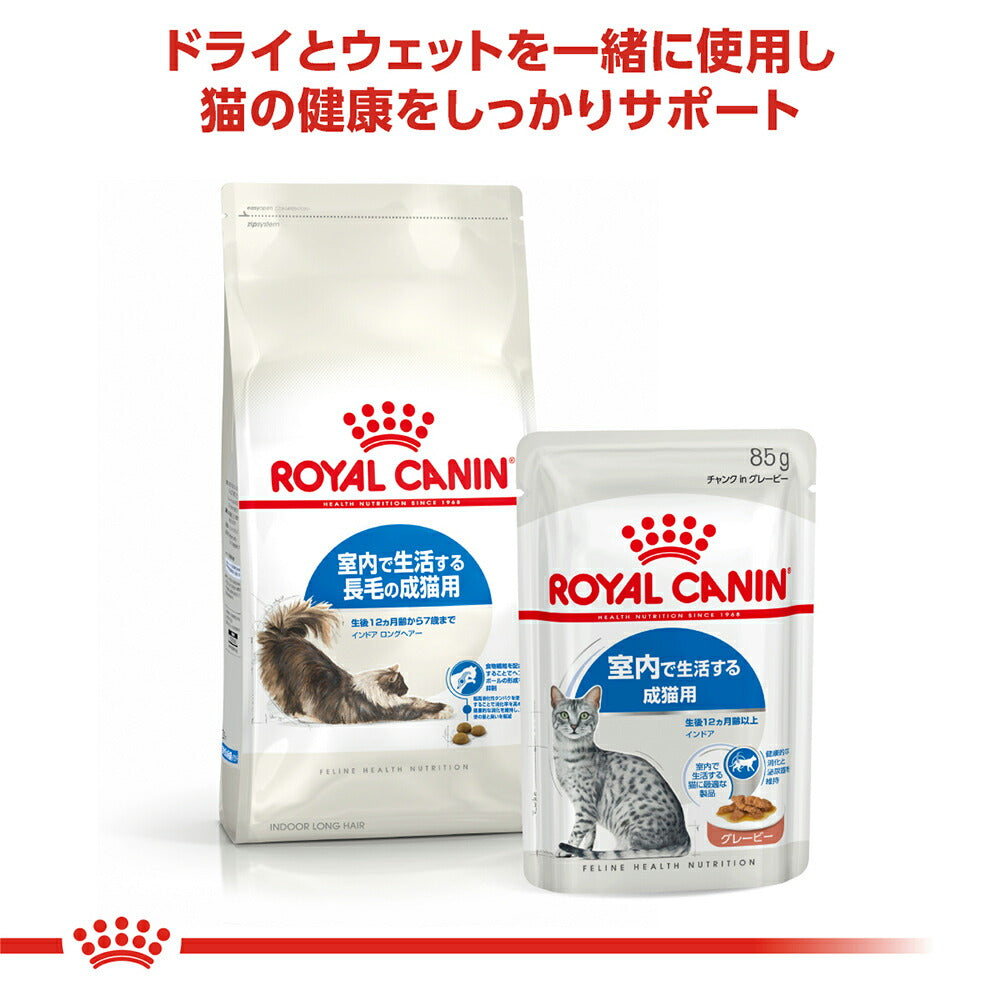 【10kg×2袋】ロイヤルカナン FHN インドア ロングヘアー 室内で生活する長毛の成猫用 生後12ヵ月齢から7歳まで (猫・キャット)[正規品]