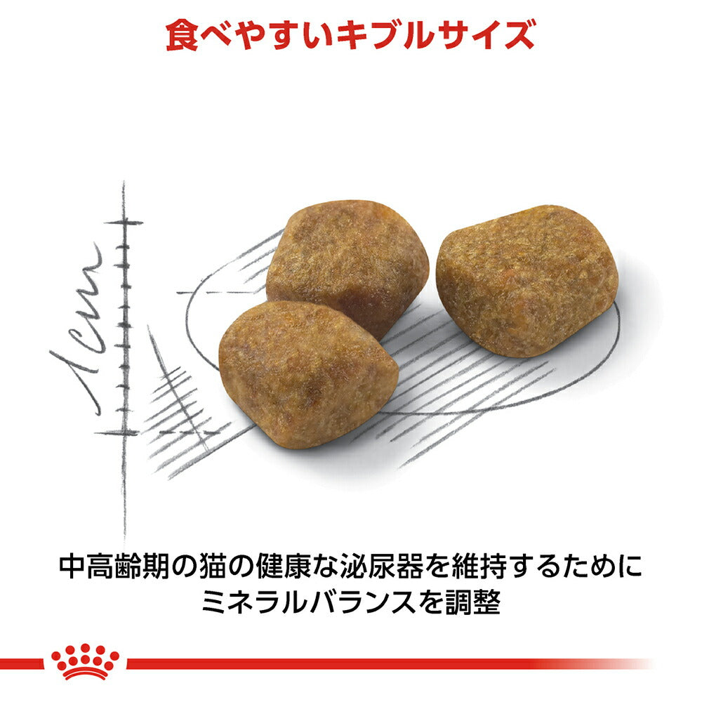 ロイヤルカナン FHN インドア 7+ 室内で生活する中・高齢猫用 7歳から12歳まで 3.5kg (猫・キャット)[正規品]